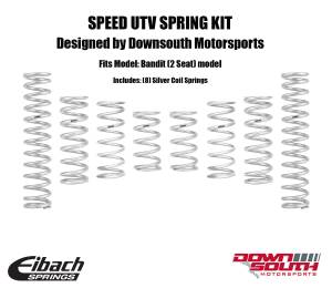 SPEED UTV BANDIT SPRING KIT by DOWNSOUTH MOTORSPORTS