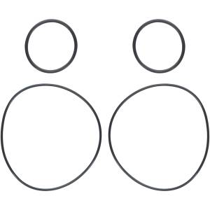 Camburg 2.25/2.50 Rear Hub O-ring Kit - Kit | CAM-020125