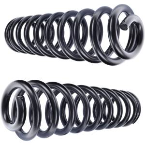 Camburg Ford F-250/350 4wd '05-24 2.5" Performance Coil Springs (pair) (diesel) - Kit | CAM-110105