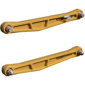 Camburg Ford Bronco Raptor ’22-‘25 KINETIK Series Rear Billet Lower Trailing Arm Kit (GOLD) - Kit | CAM-120035-GLD
